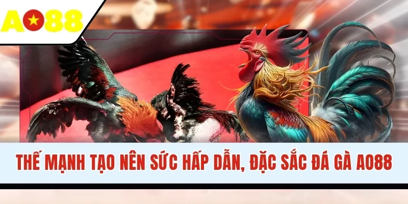 Thế mạnh tạo nên sức hấp dẫn, đặc sắc đá gà AO88